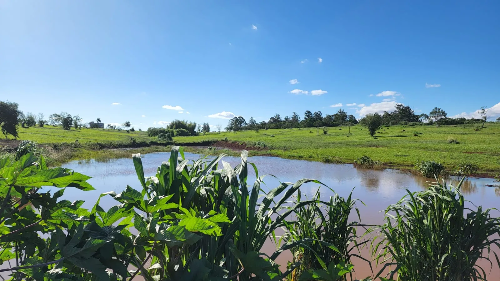Paisaje existente de Los Naranjos